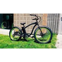 Snowy Type Electric Bike Fat Tyre Ebike with Strong Power
